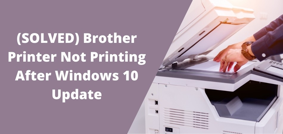 Featured image of post Hl 1110 Driver Windows 10 Download hl 1110 printer driver