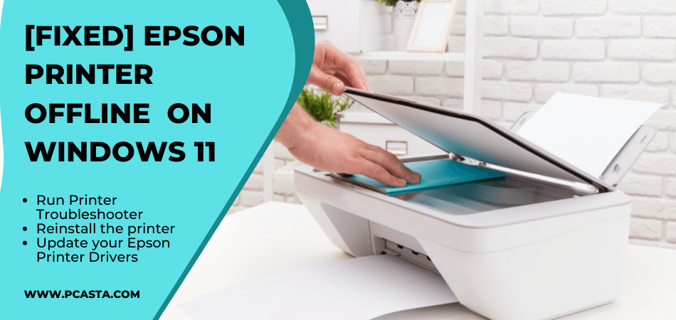 how to use printer offline windows 11